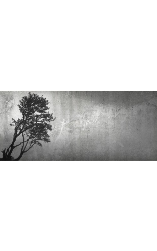 Tree - AM 110 010