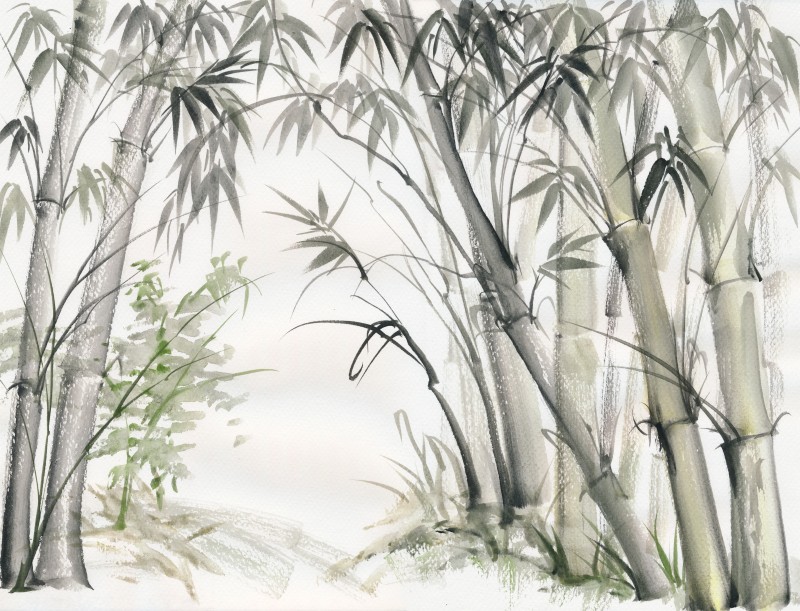 L 300340 Bambus Wald